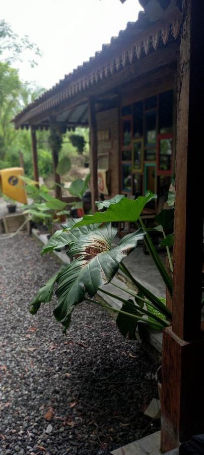Omah Cantrik, Ethnic Java House With Nature View Jarakan Esterno foto